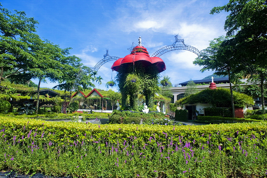 埔里台一生態休閒農場（楓樺台一渡假村）